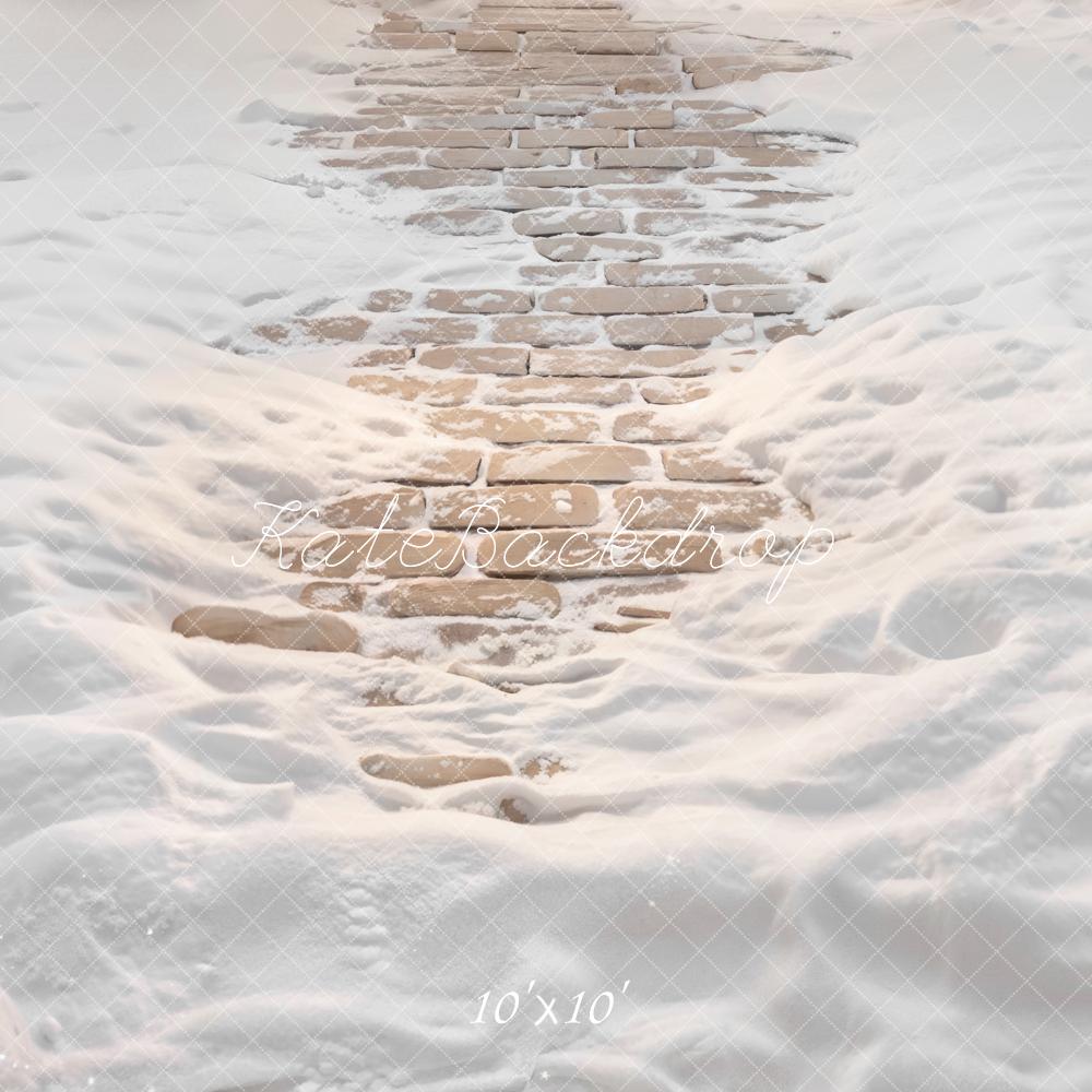 Kate Winter Snow Covered Cobblestone Path Printed Backdrop Designed by Emetselch