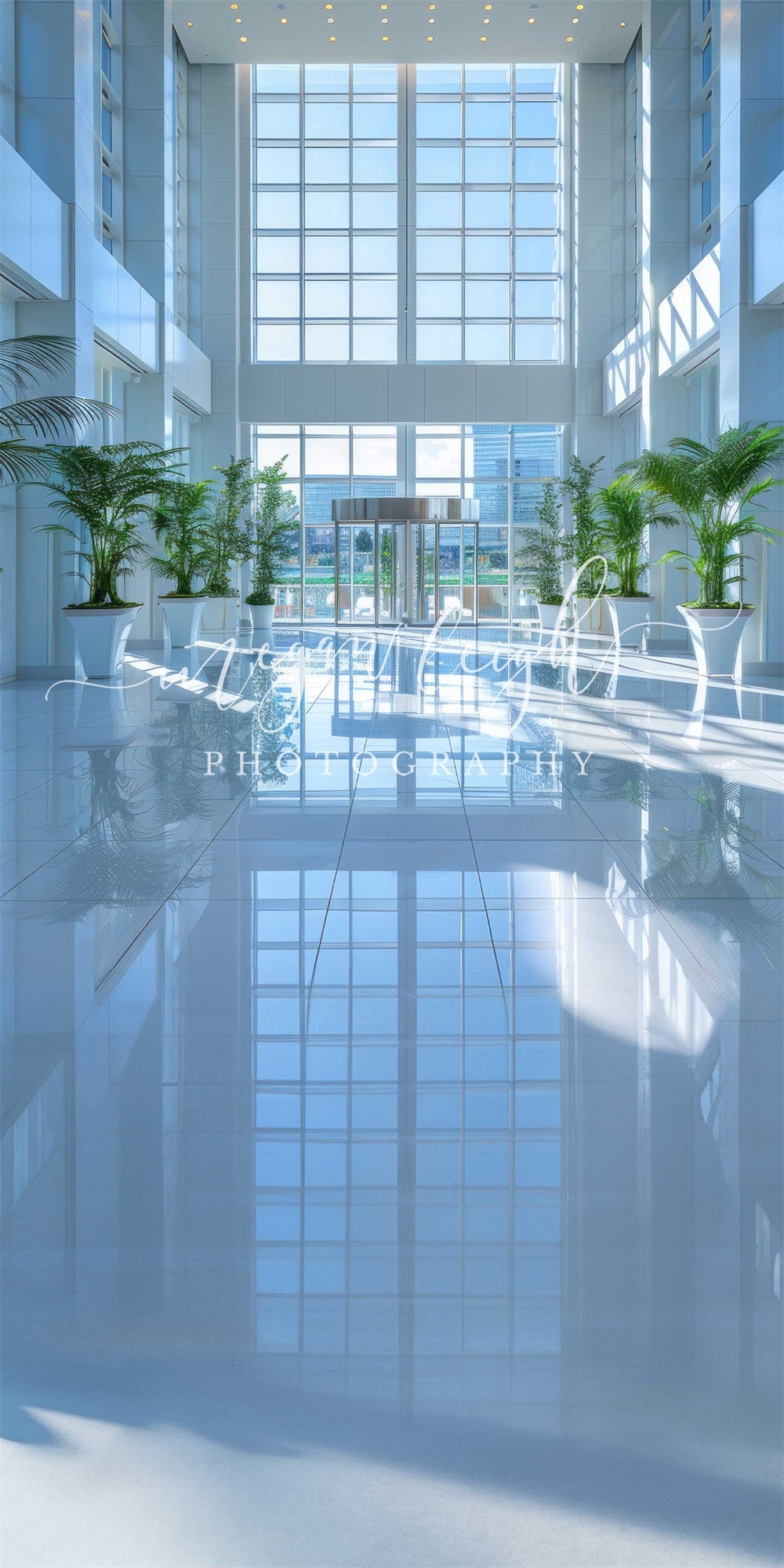 Kate Sweep Modern Blue Interior Green Plant Corporate Office Lobby Backdrop Designed by Megan Leigh Photography