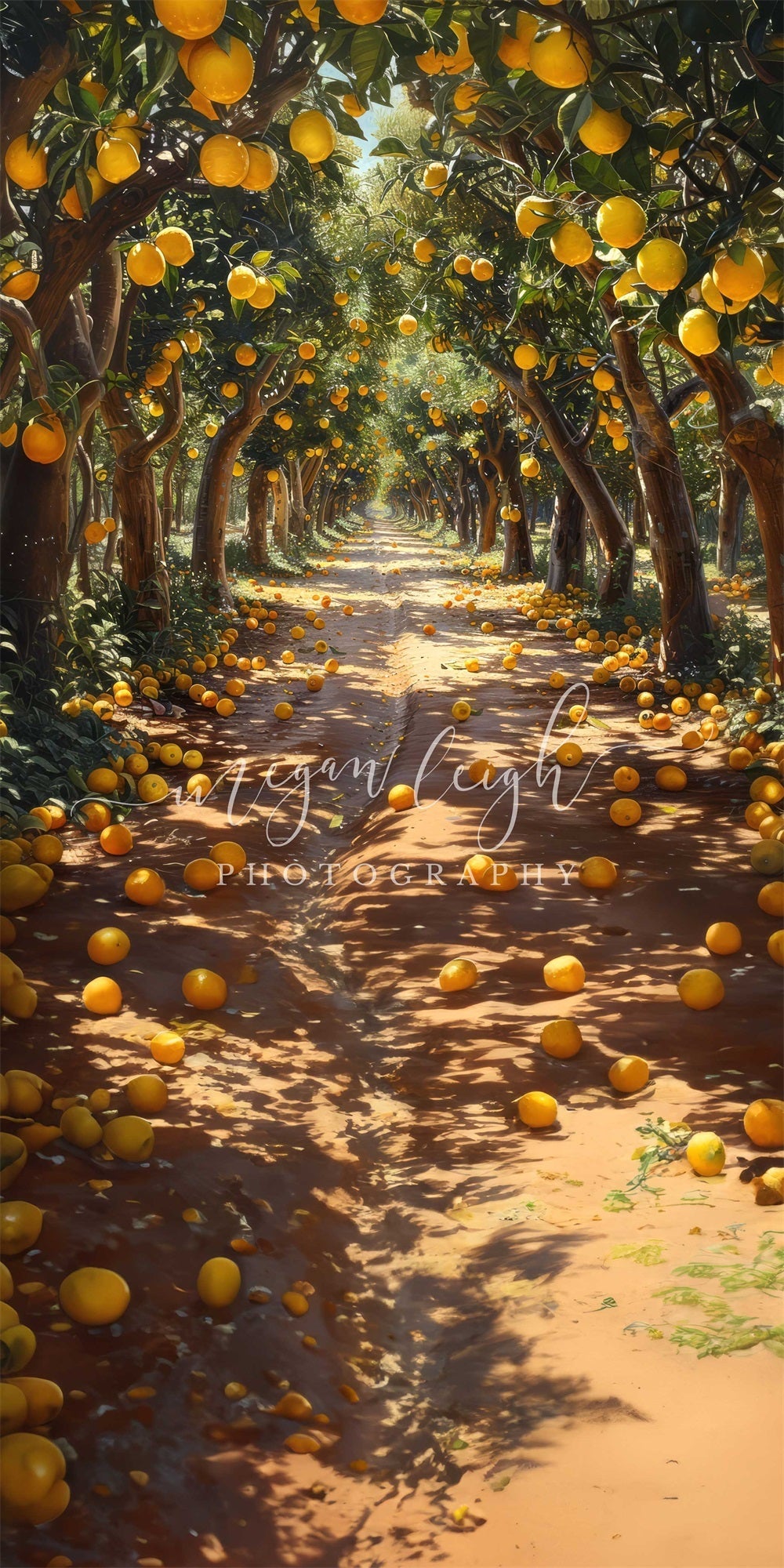 Kate Sweep Summer Outdoor Yellow Lemon Grove Backdrop Designed by Megan Leigh Photography