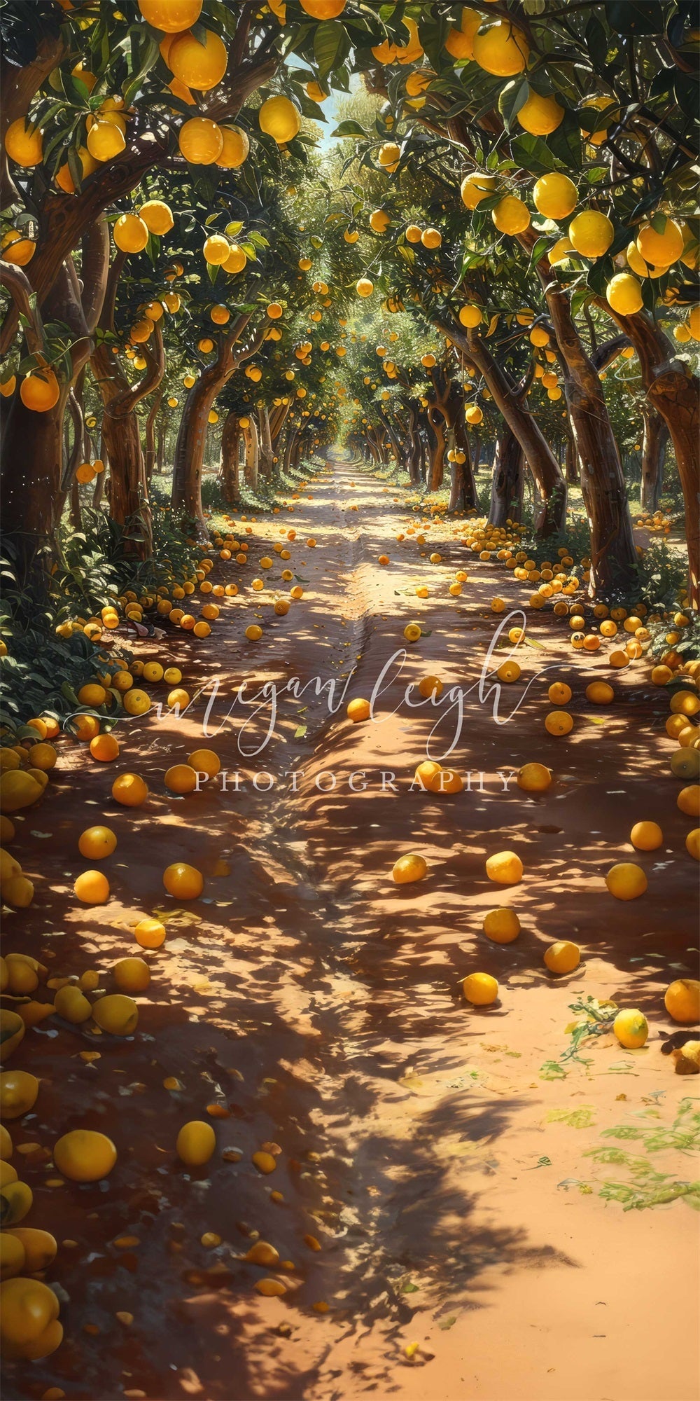 Kate Sweep Summer Outdoor Yellow Lemon Grove Backdrop Designed by Megan Leigh Photography