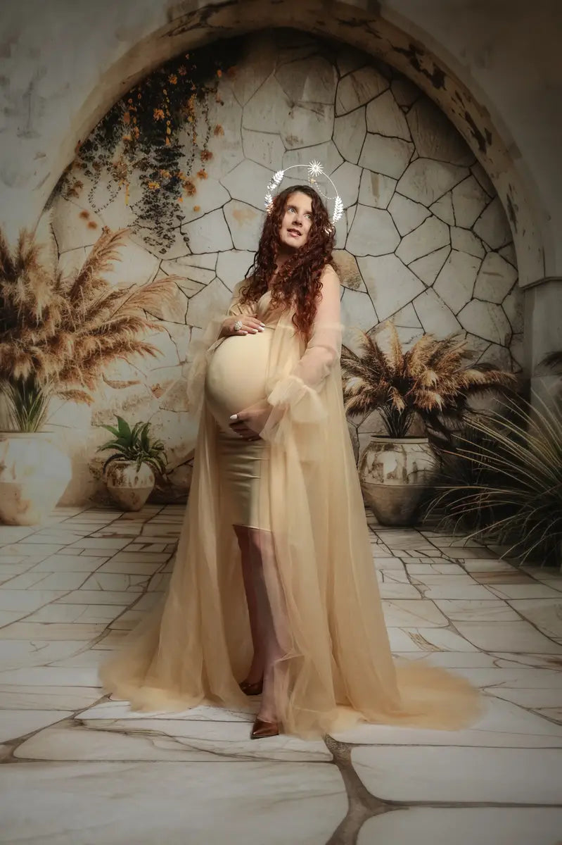 Kate White Long Sleeve Mesh Maternity Photoshoot Dress