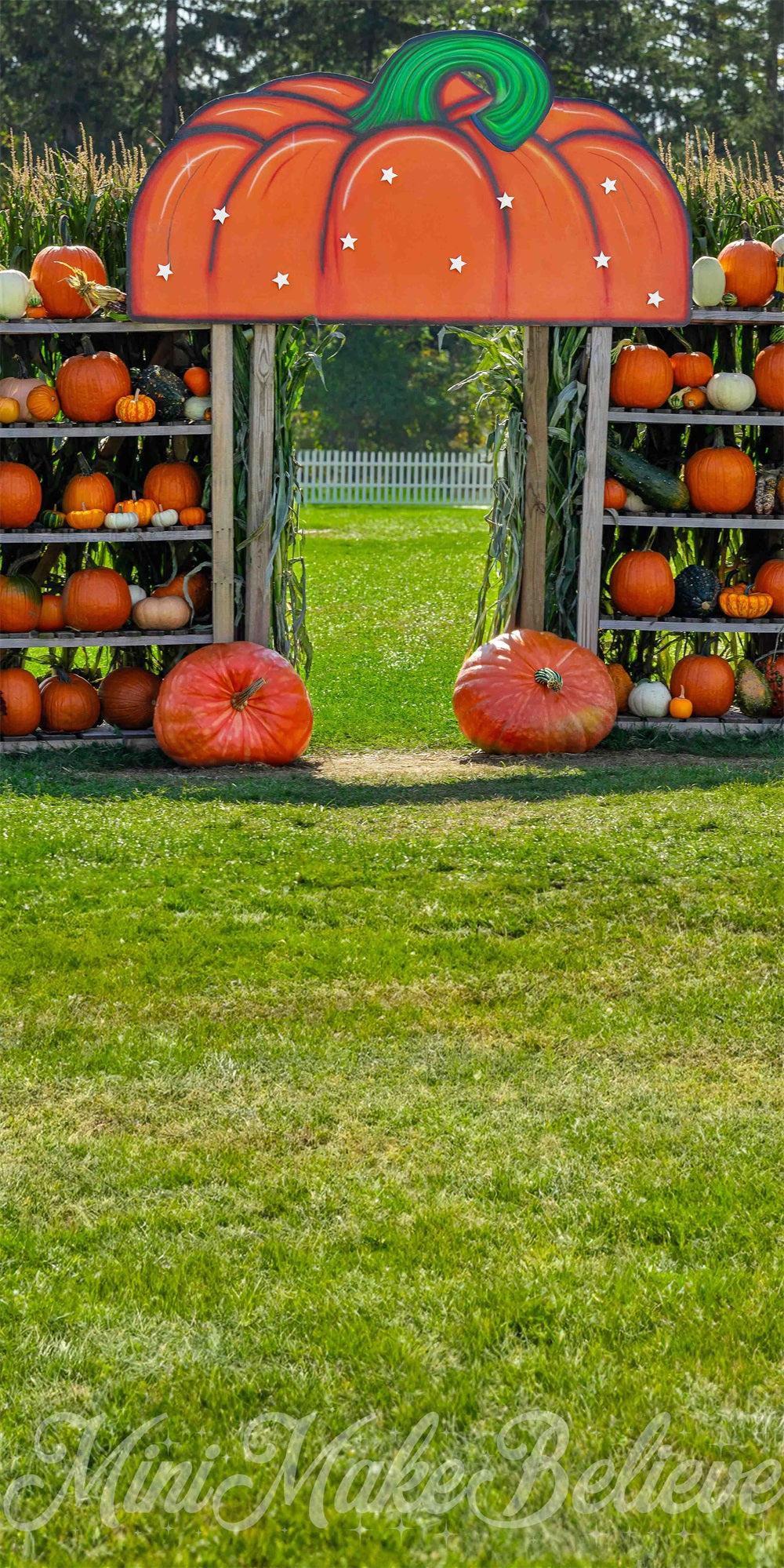 Fondo de casa de calabaza naranja y pradera verde del bosque al aire libre diseñado por Mini MakeBelieve
