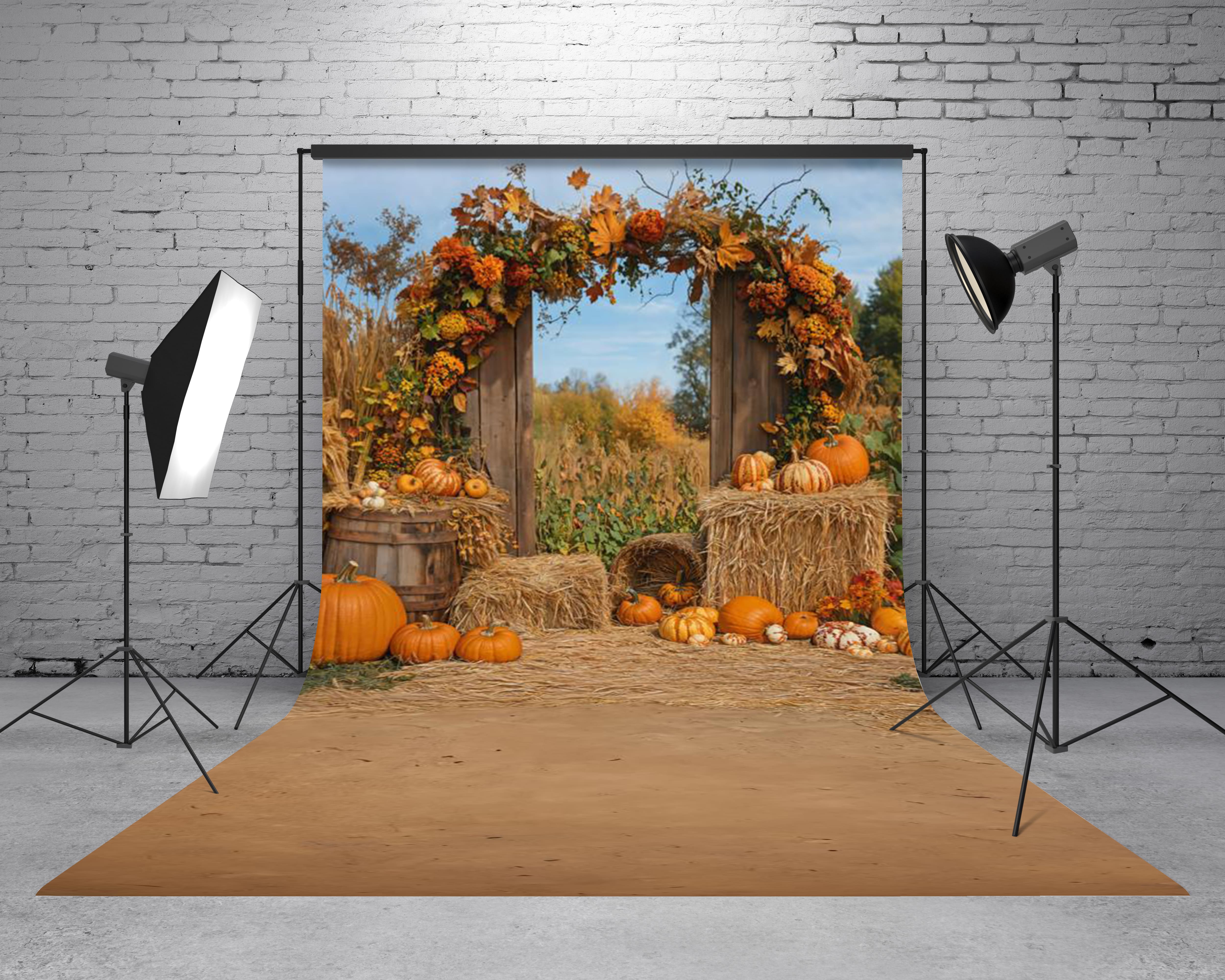 Sweep Fall Pumpkin Harvest Arch Hay Backdrop Designed by Emetselch