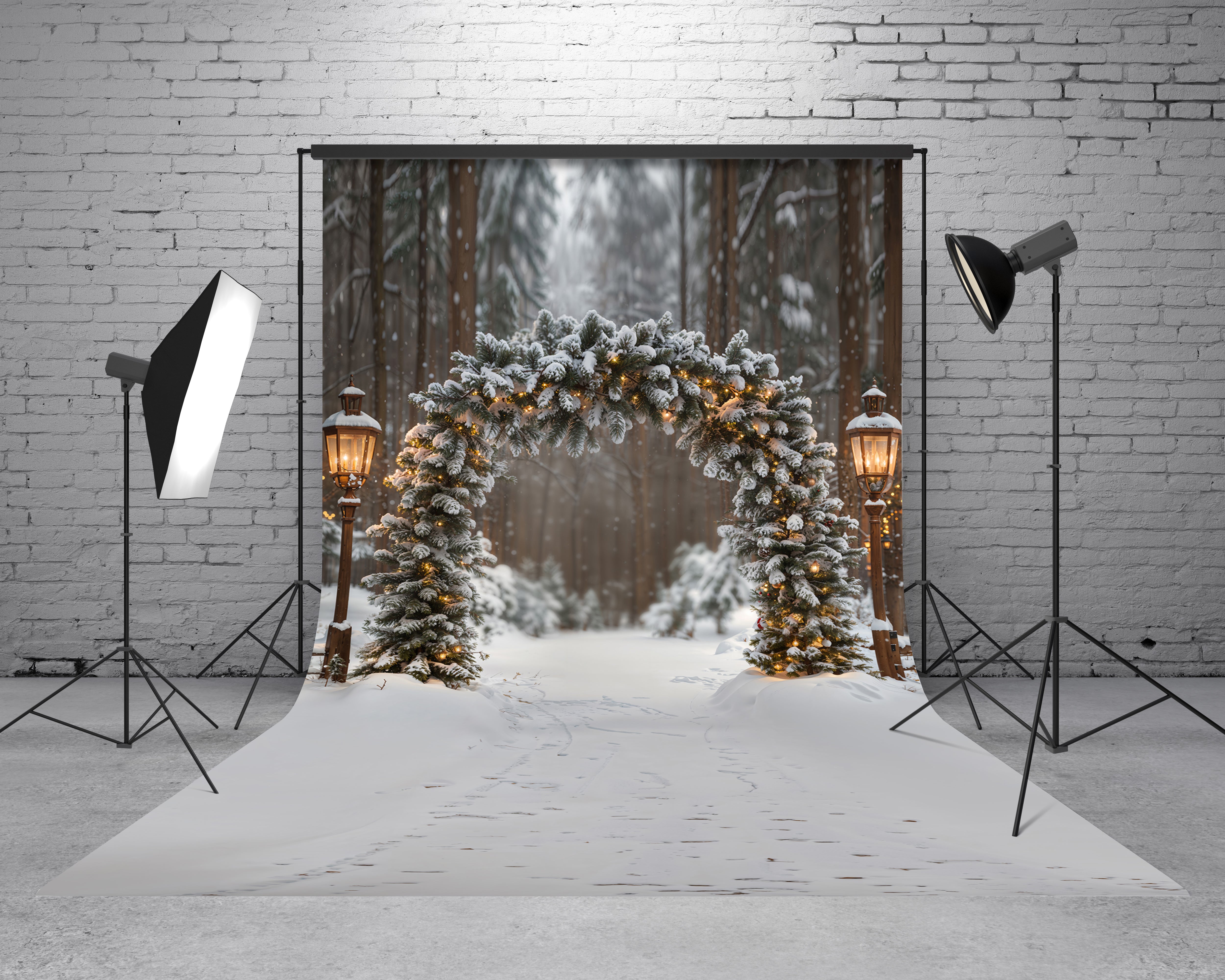 Sweep Kerstboog Winterbos Sneeuw Foto Achtergrond Designed by Emetselch