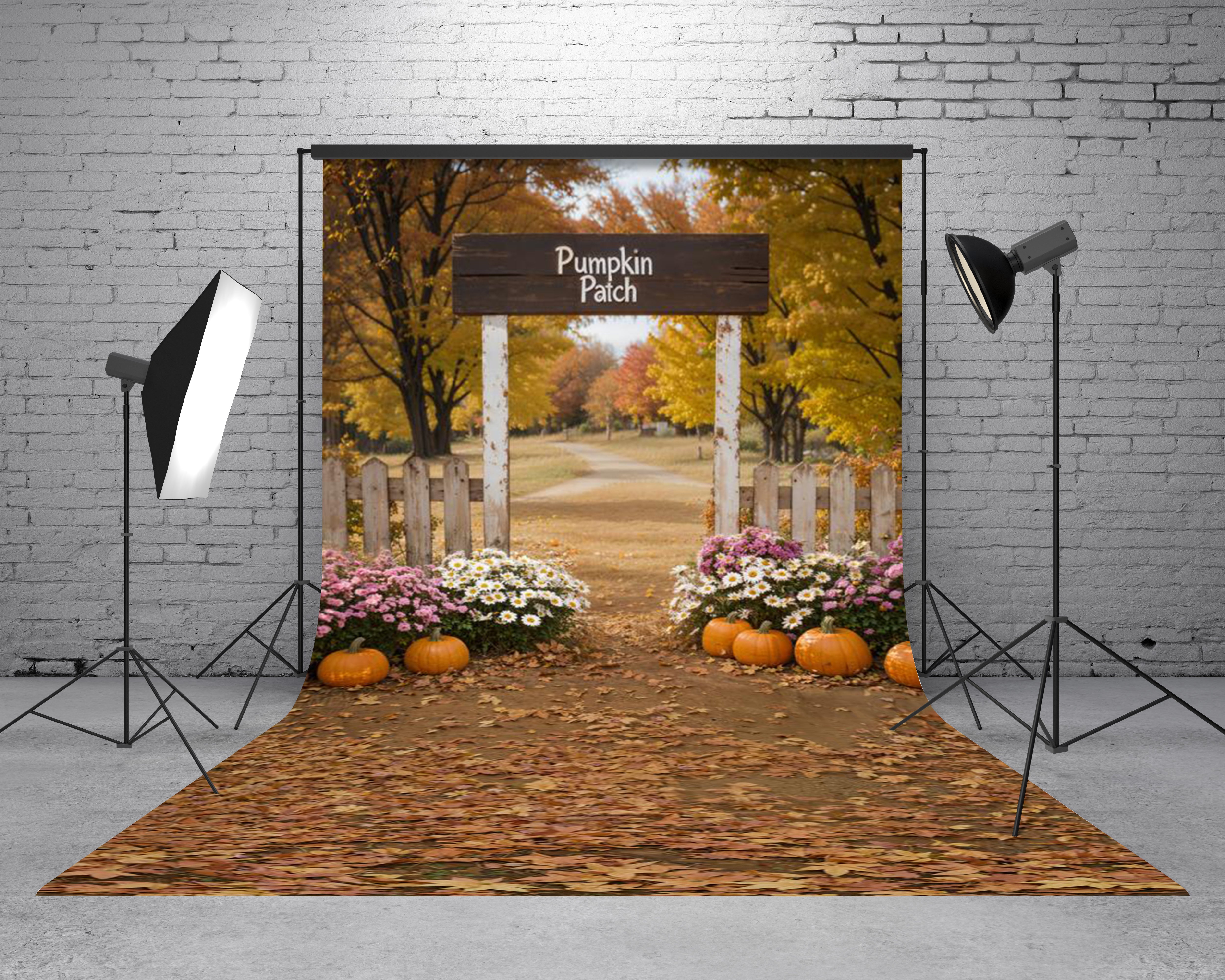 Sweep Fall Pumpkin Patch Padway Fence Foto Achtergrond Designed by Emetselch
