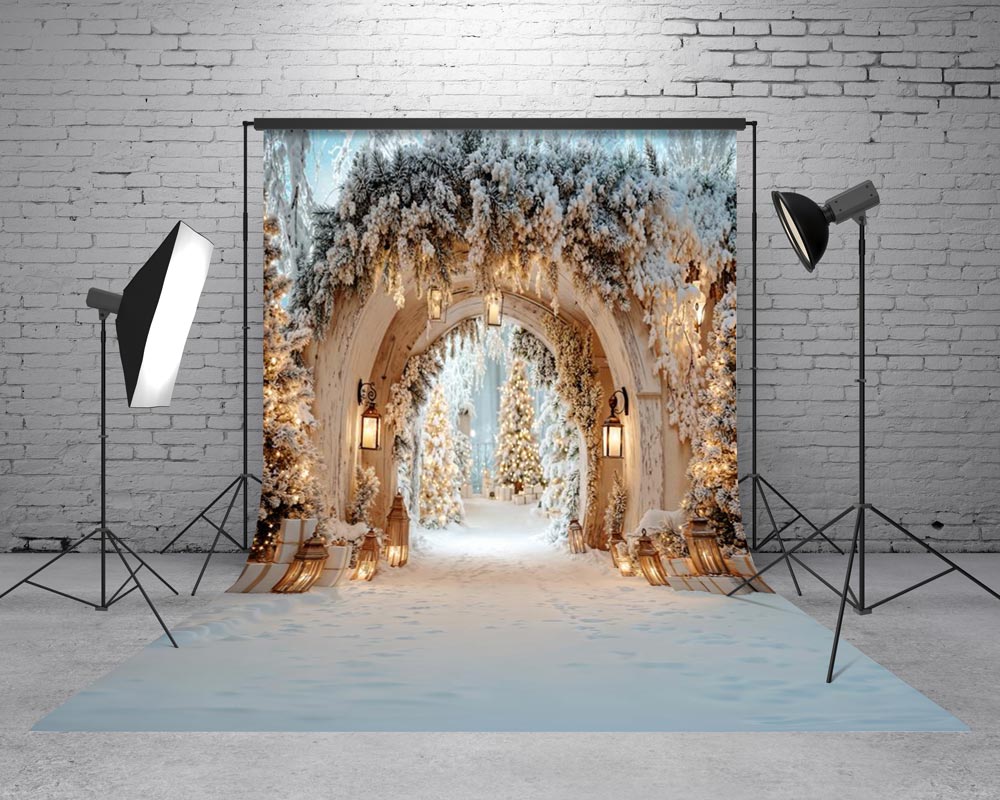 Kate Sweep Christmas Snowy Archway Pine Trees Lanterns Printed Backdrop Designed by Emetselch