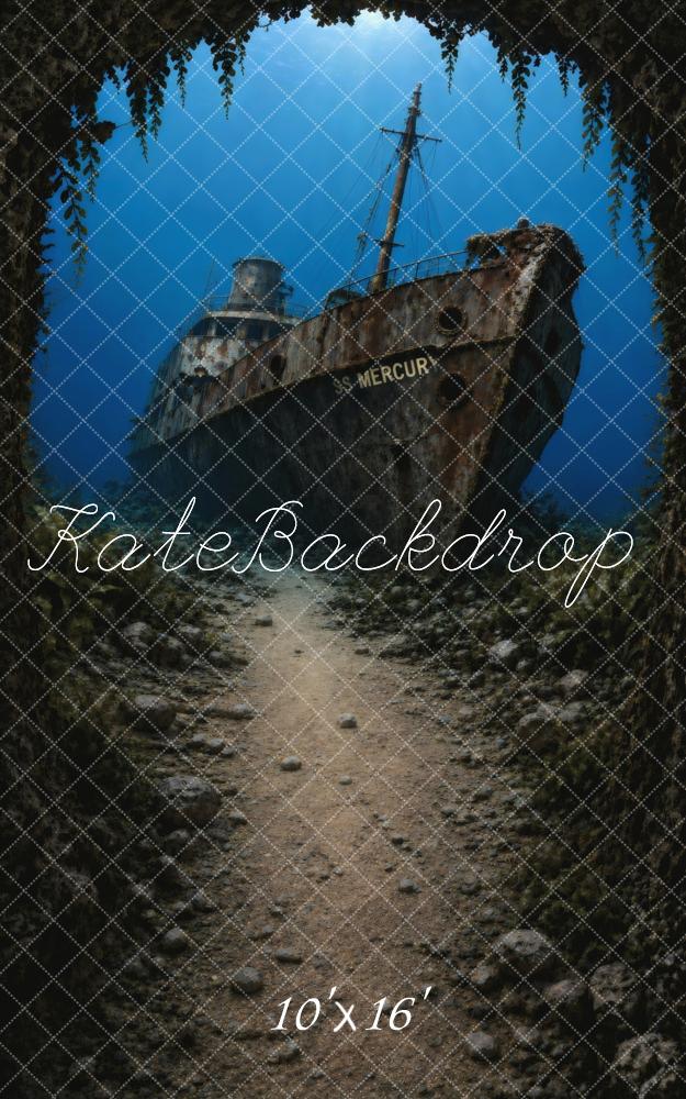 B1060116R