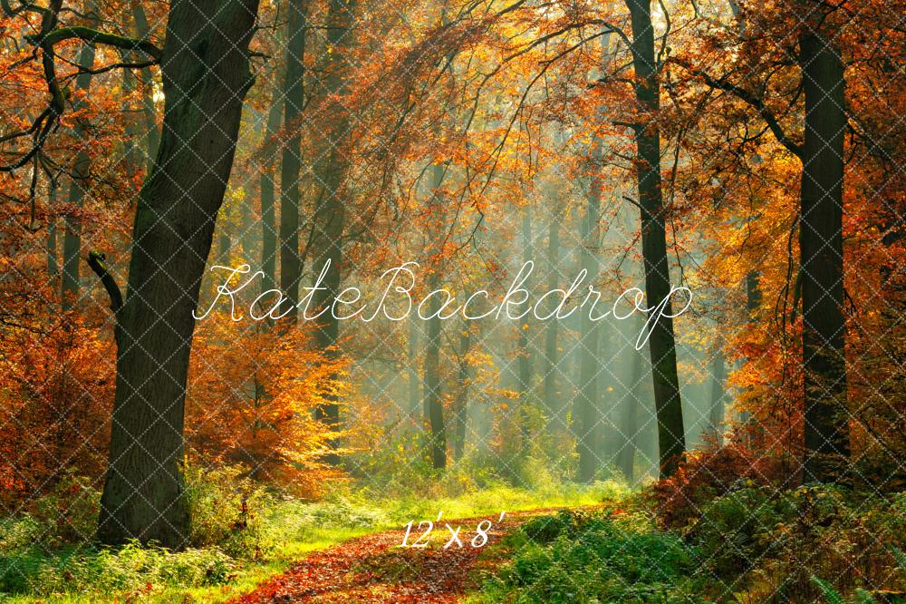 Kate Autumn Green Grass Maple Forest Backdrop for Photography