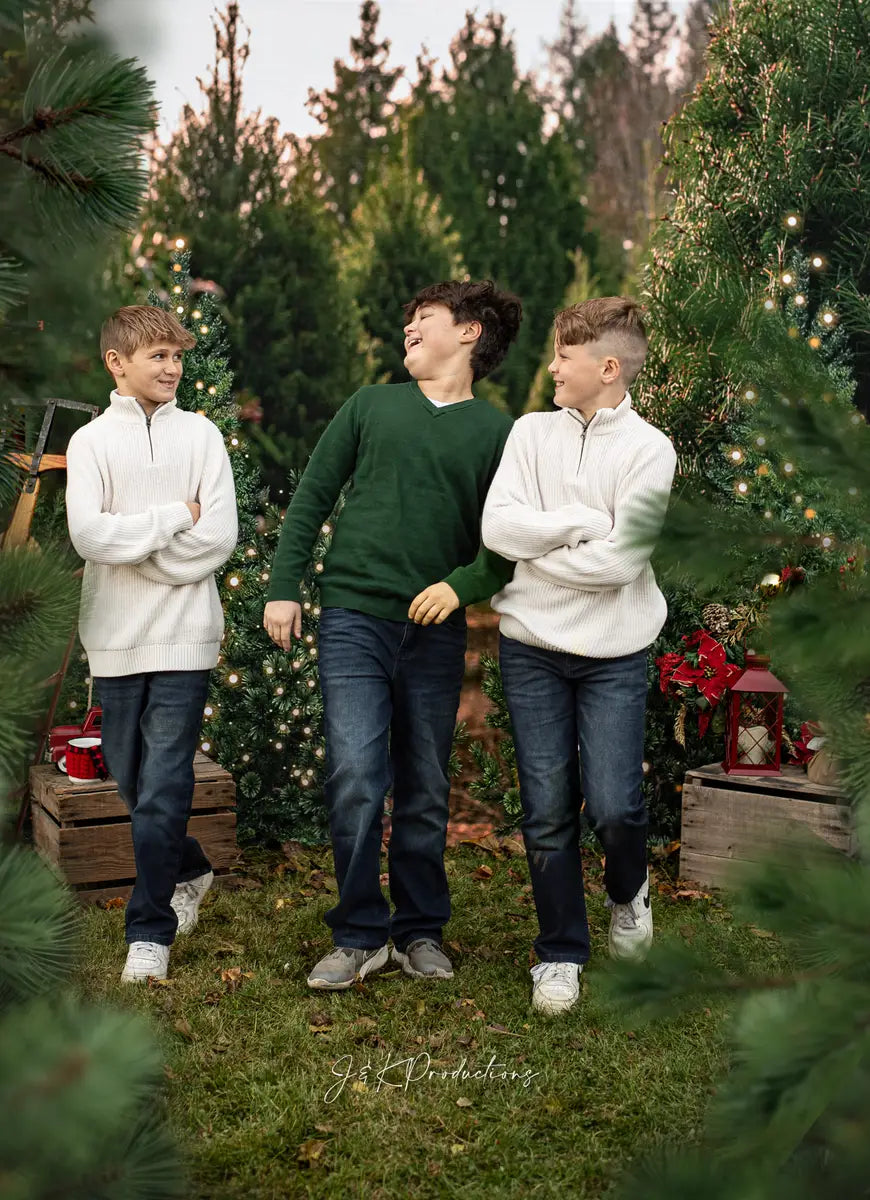 Kate Christmas Trees Backdrop Forest for Photography - Kate Backdrop