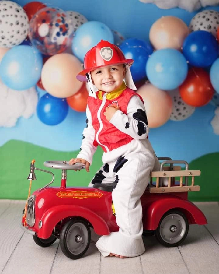 Telón de fondo de cumpleaños azul para perro diseñado por Mandy Ringe Photography