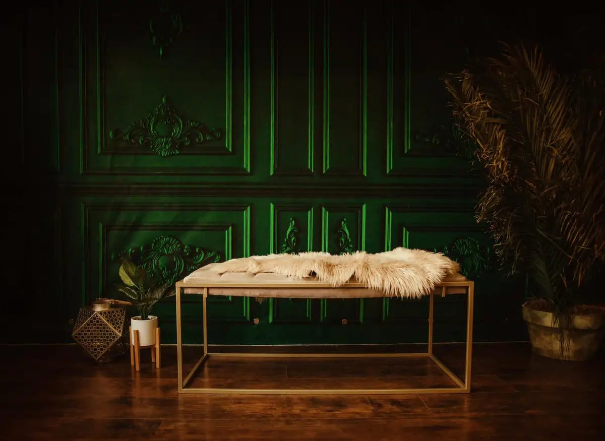 Kate Retro Vintage Dark Green Wall Backdrop for Photography