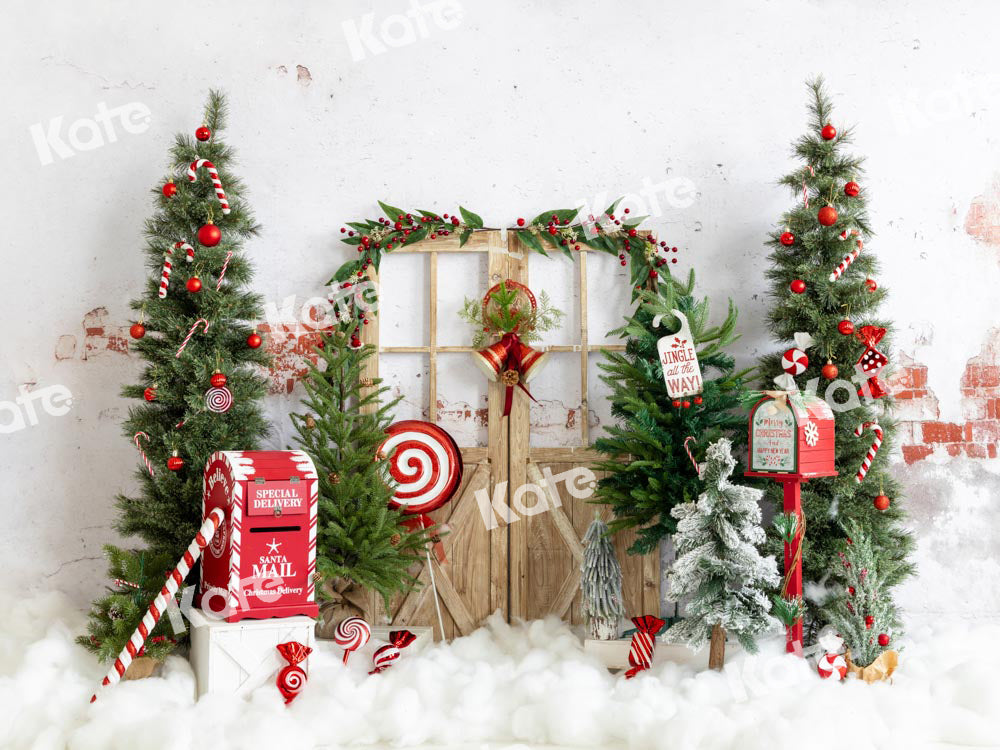 Kate Christmas Backdrop Mailbox Snow Designed by Emetselch Fabric Backdrops Christine10