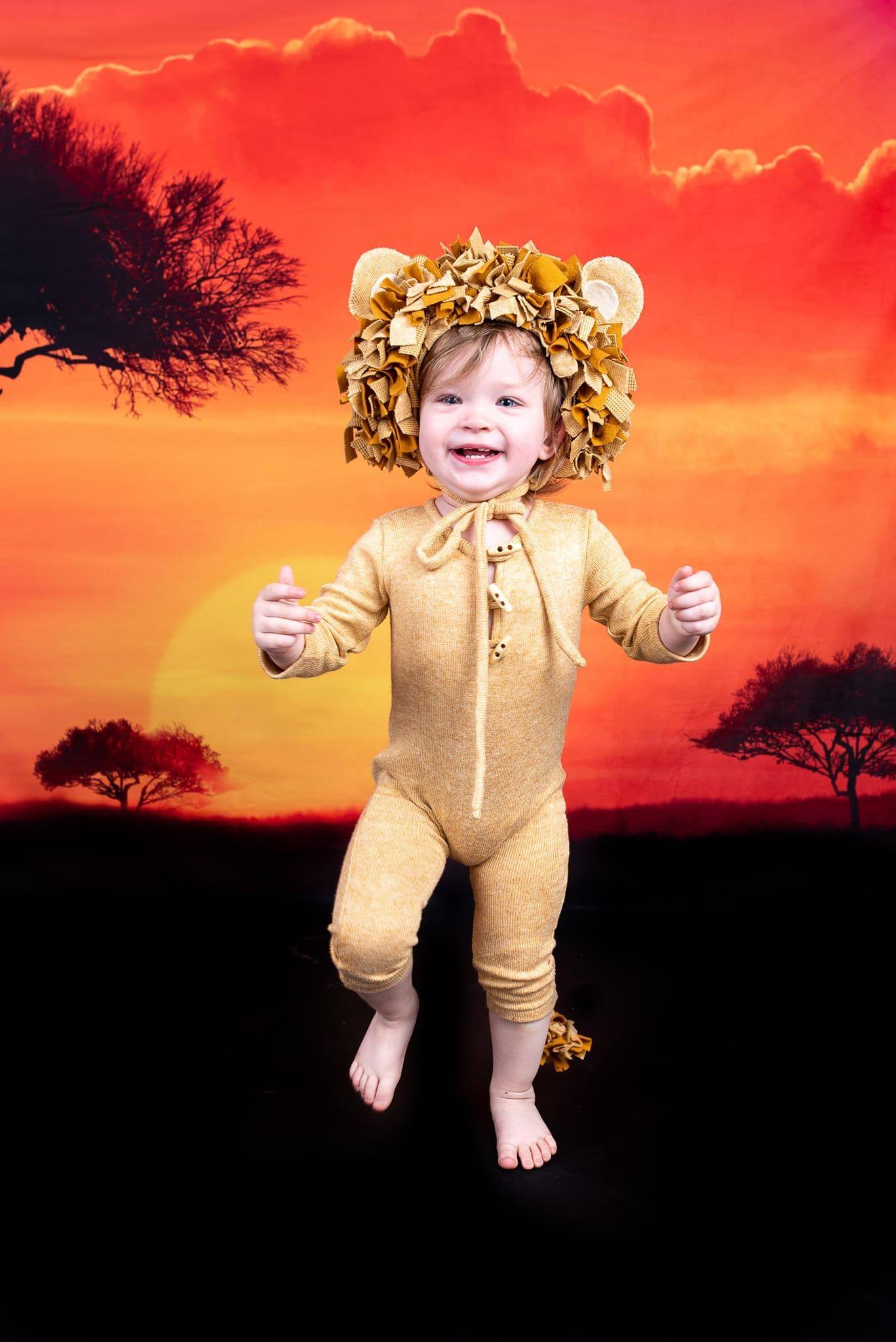 Sfondo Naturale Tramonto Albero per Fotografia