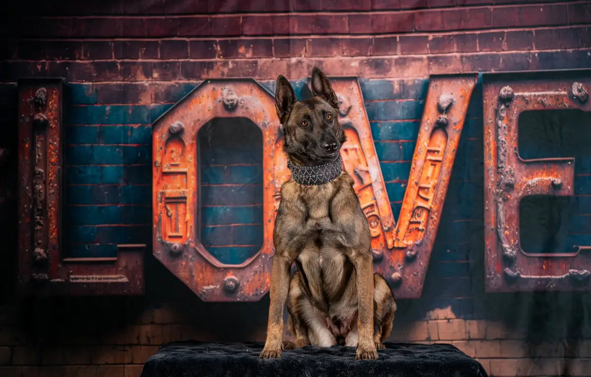 Kate Pet Valentine Industrial Love Letters on Distressed Brick wall Backdrop Designed by Mini MakeBelieve