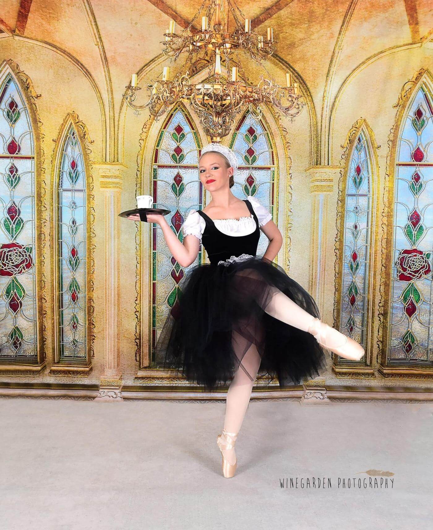 Kate Castle Vintage Rose Palace Architecture Backdrop for Photography