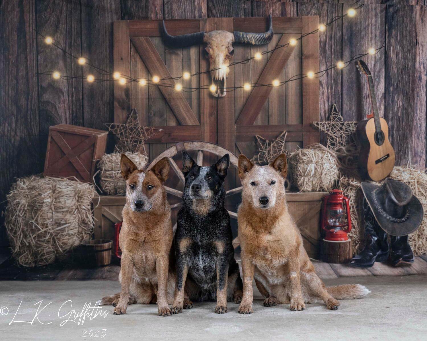 Vaca mascota en granja con fondo diseñado por Emetselch