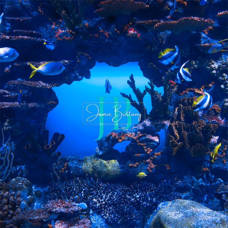 Zomer Onderwaterdecor Ontworpen door JB Photography