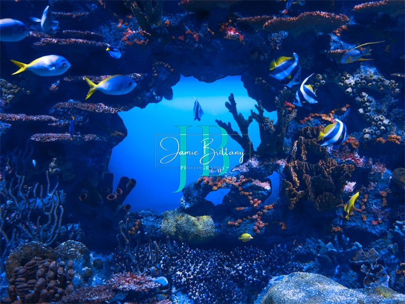 Zomer Onderwaterdecor Ontworpen door JB Photography