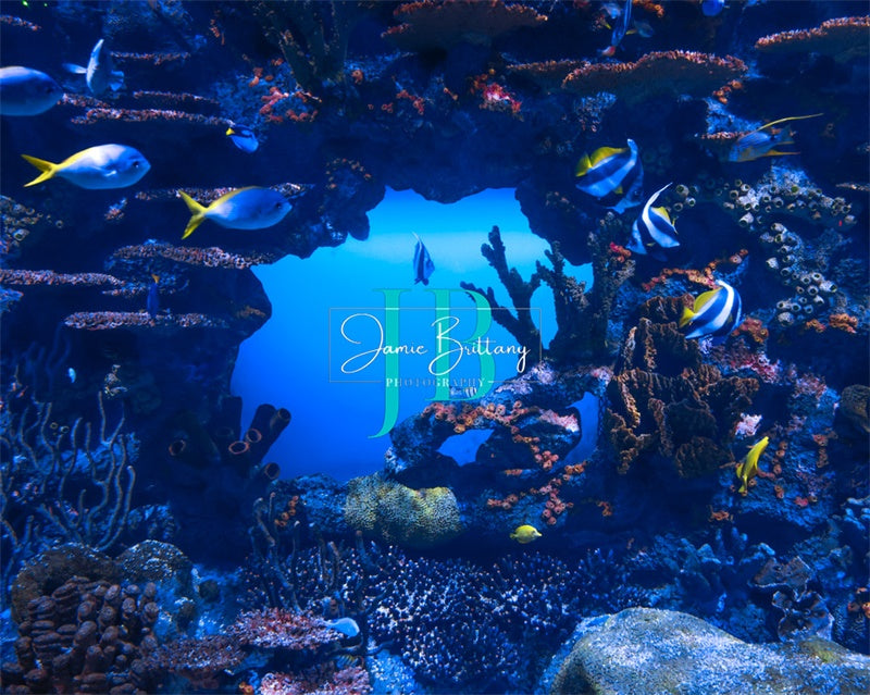 Zomer Onderwaterdecor Ontworpen door JB Photography