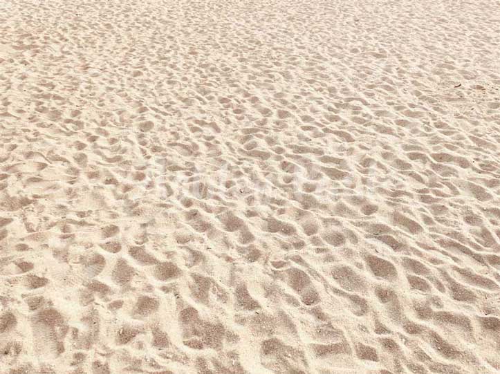 Kate Summer Sandy Beach Floor Backdrop Designed by Ashley Paul