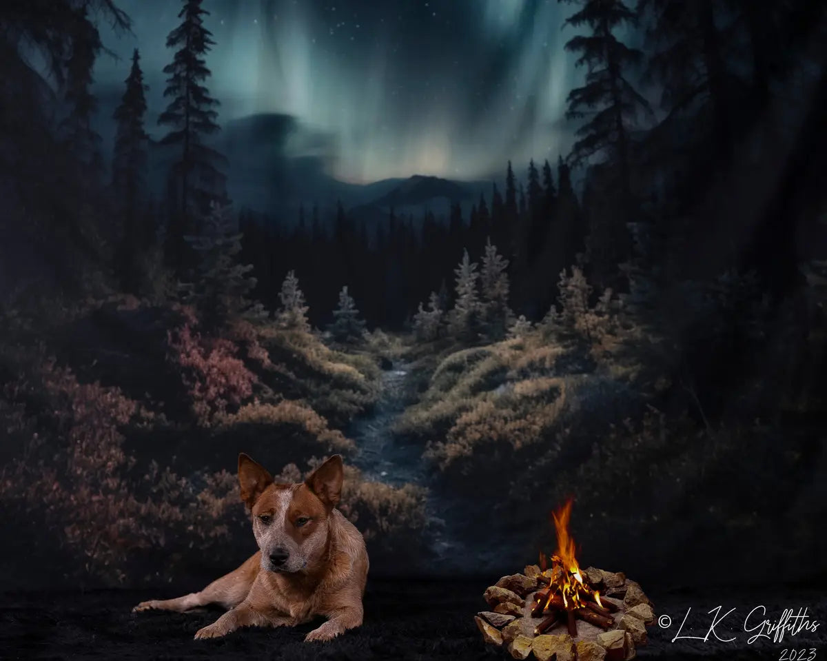 Kate Pet Forest with Aurora Backdrop Designed by Mandy Ringe Photography