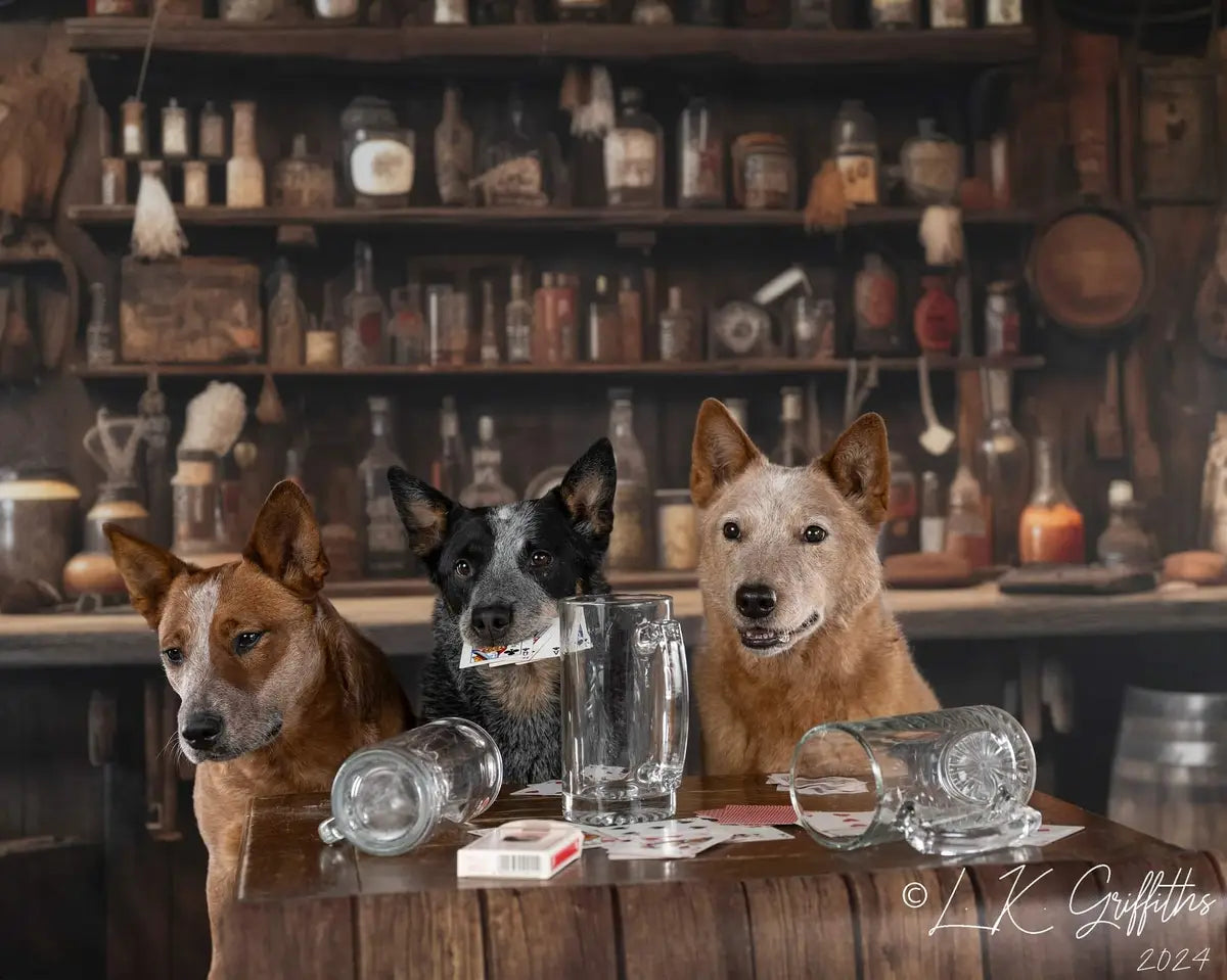 Oude Westerse Cowboy Saloon Muurachtergrond Ontworpen door Mandy Ringe Fotografie