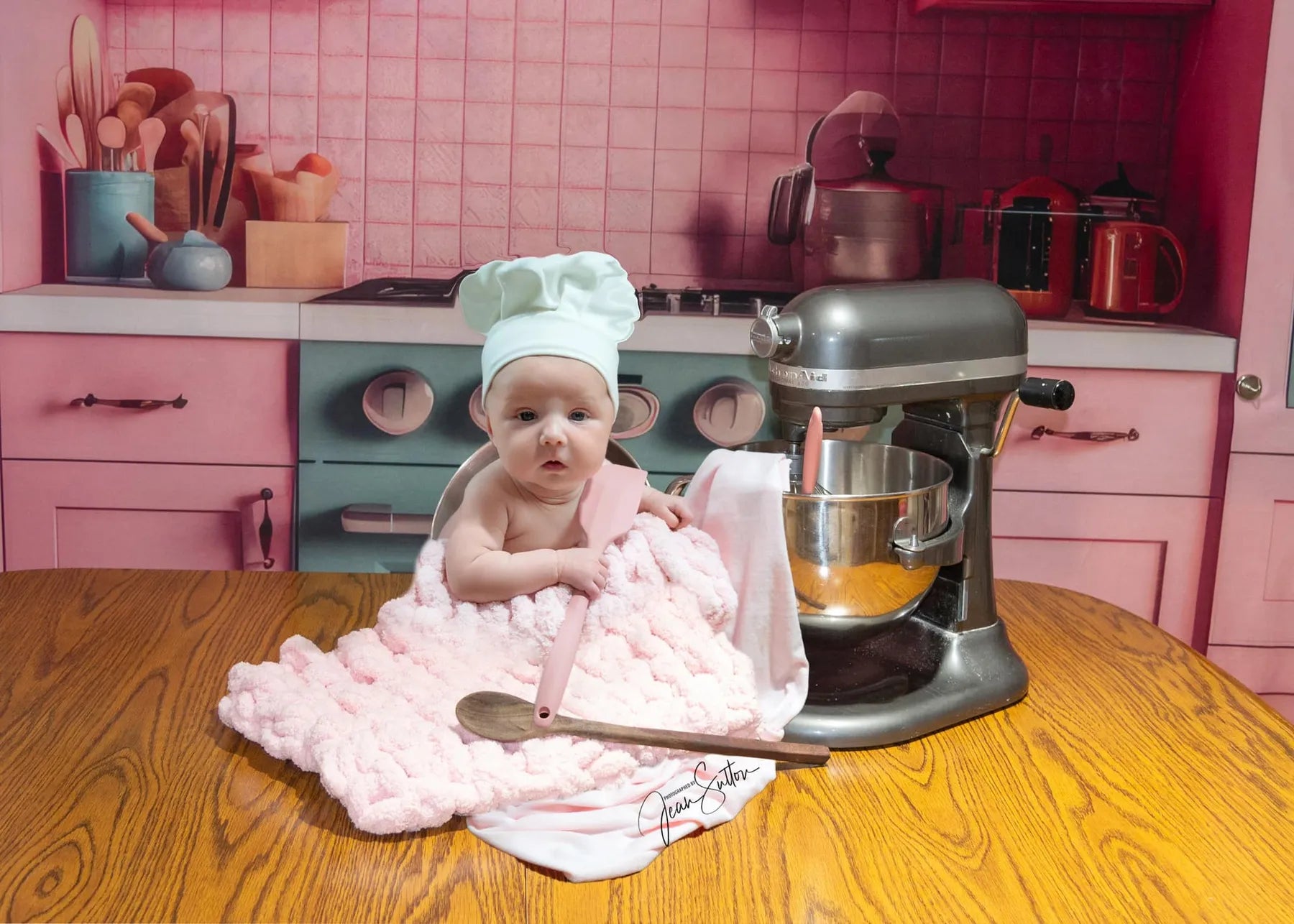 Kate Pink Fantasy Dollhouse Kitchen Backdrop Designed by Mandy Ringe Photography