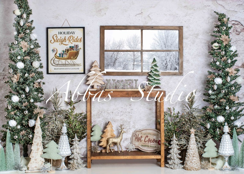 Rustic Winter Holiday Indoor Backdrop