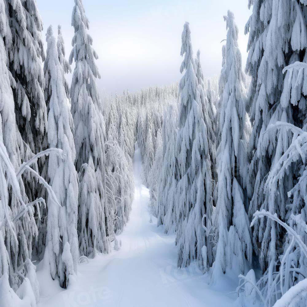 Kate Winter Forest Trees Backdrop Designed by Chain Photography