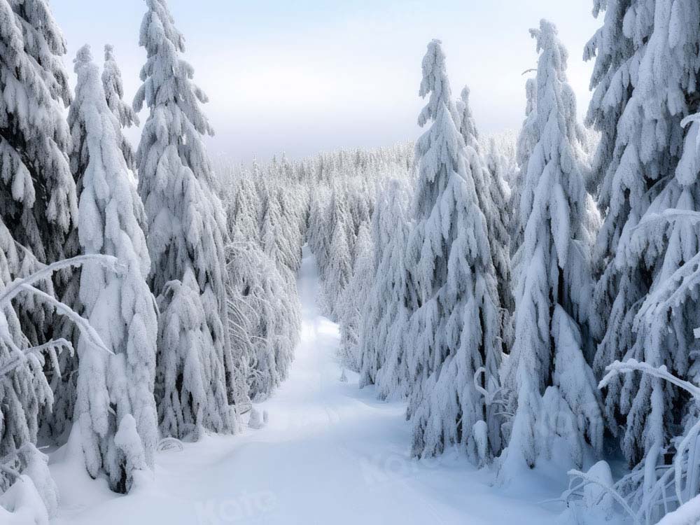 Kate Winter Forest Trees Backdrop Designed by Chain Photography