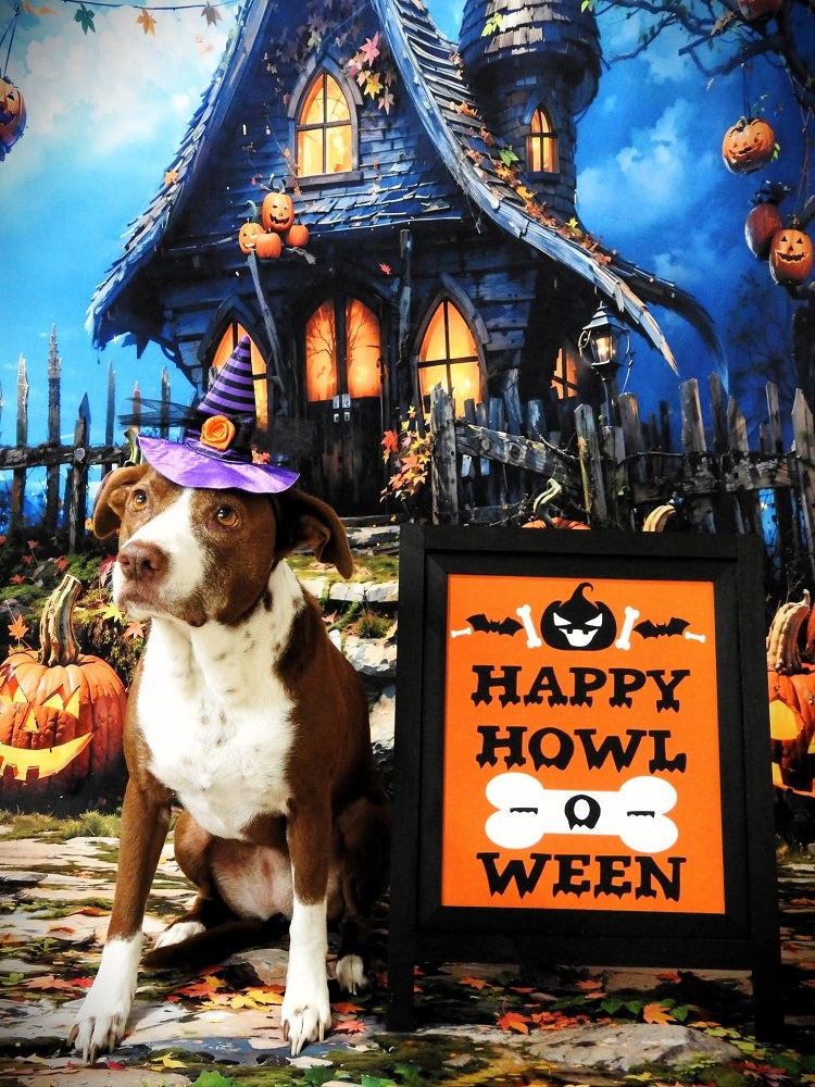 Fondo de Casa Castillo Mágico de Calabazas de Halloween Diseñado por Fotografía Chain