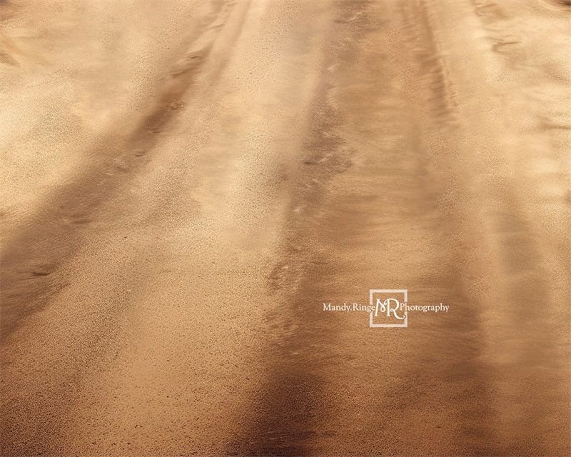 Kate Desert Road Backdrop Designed by Mandy Ringe Photography