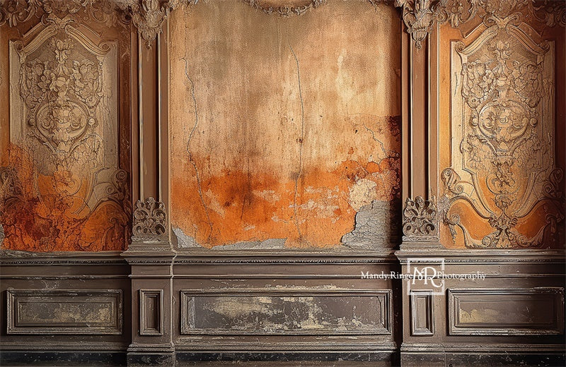 Kate Distressed Victorian Wall with Autumn Colors Backdrop Designed by Mandy Ringe Photography