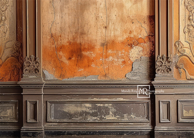 Kate Distressed Victorian Wall with Autumn Colors Backdrop Designed by Mandy Ringe Photography