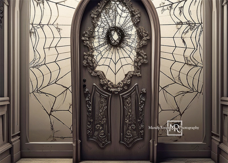 Fondo de Puerta con Telaraña Espeluznante Diseñado por Mandy Ringe Photography