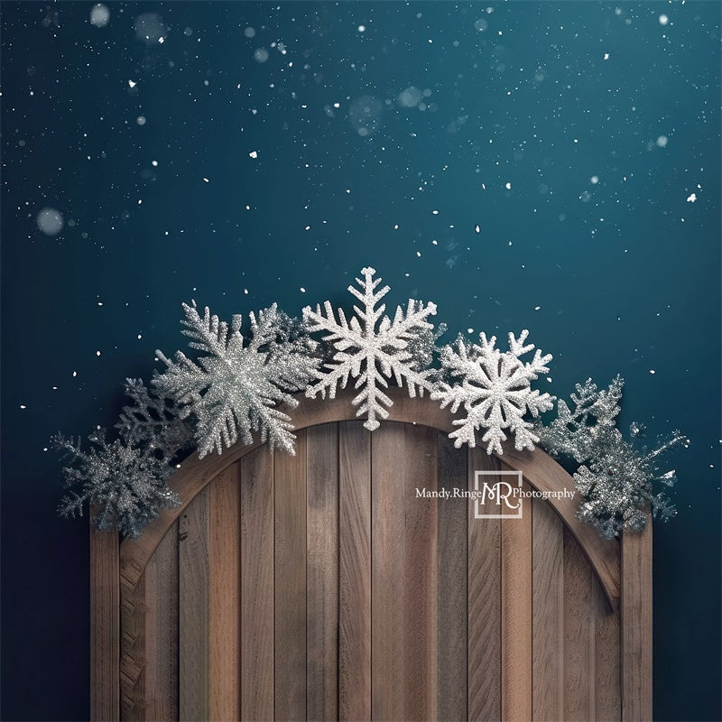 Kate Winter Solstice Headboard Backdrop Designed by Mandy Ringe Photography