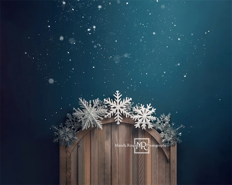 Kate Winter Solstice Headboard Backdrop Designed by Mandy Ringe Photography