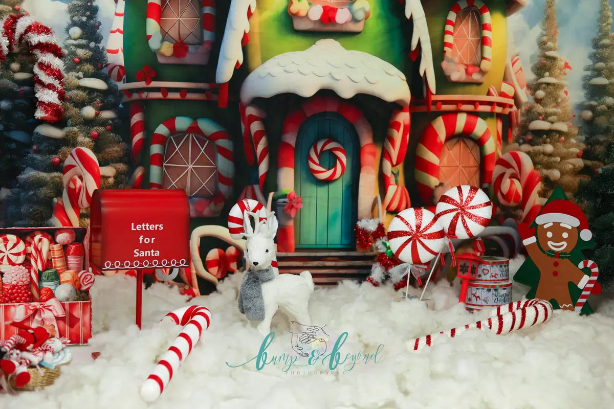 Kate Christmas Amazing House Backdrop for Photography