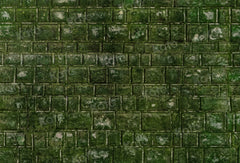 Groene bakstenen muur met mos vloer als achtergrond voor fotografie