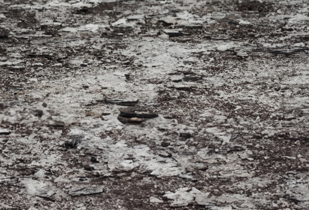 Winterlandschap met sneeuwvloerachtergrond voor fotografie