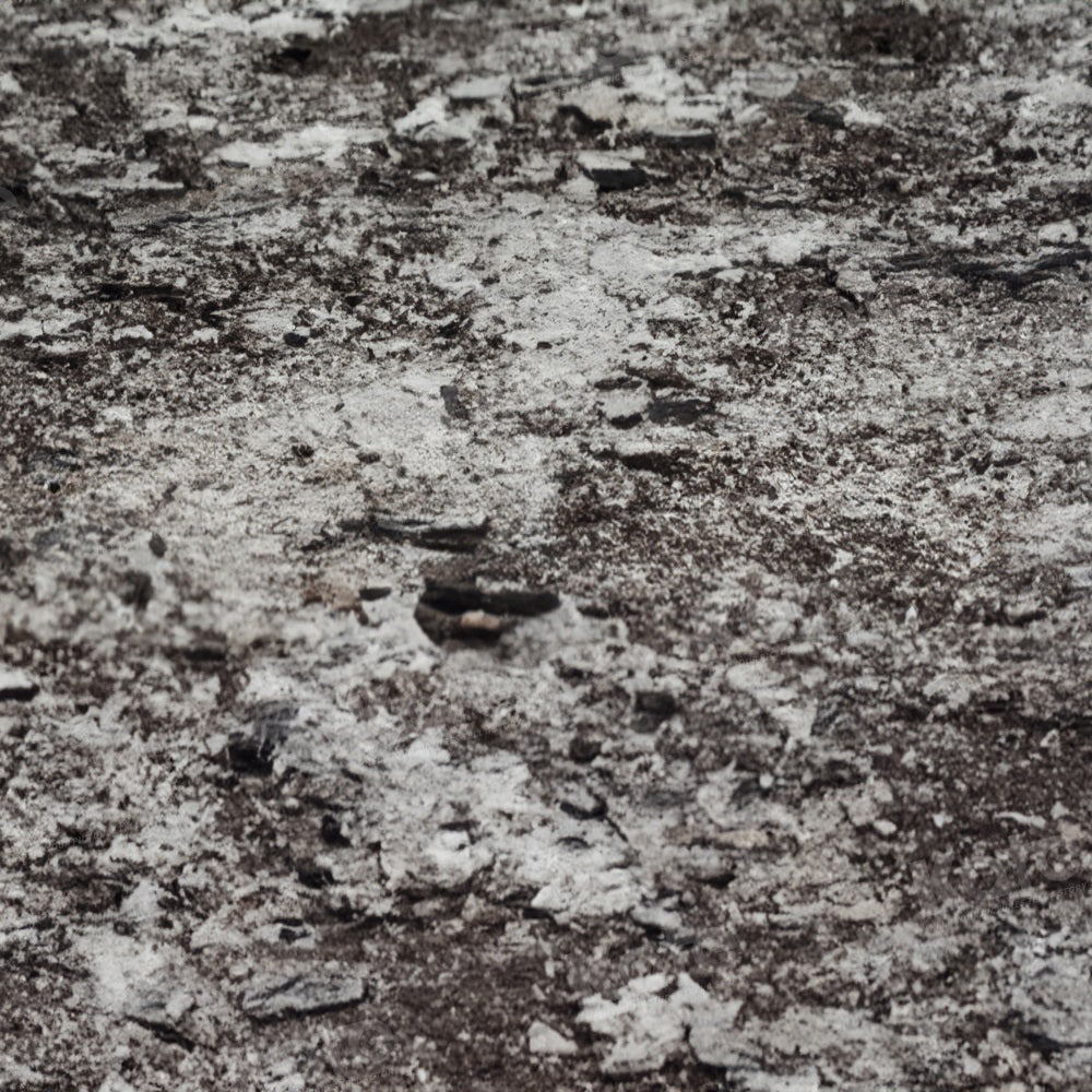 Winterlandschap met sneeuwvloerachtergrond voor fotografie