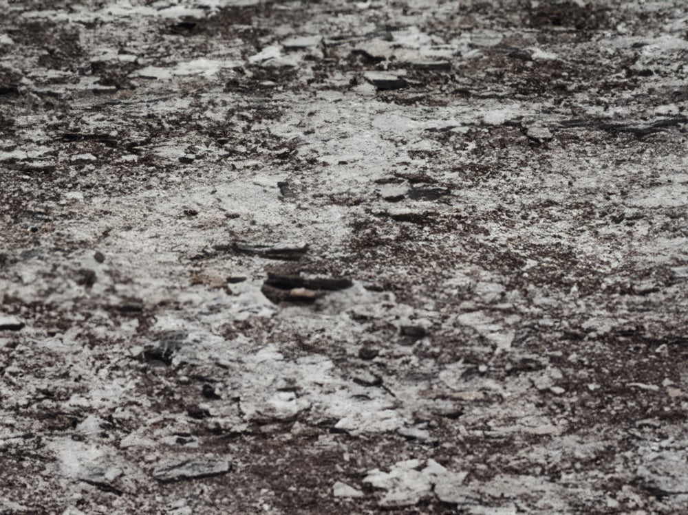 Winterlandschap met sneeuwvloerachtergrond voor fotografie