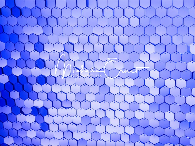Kate Blue Hexagons Backdrop Designed By Michele Ernst Photography
