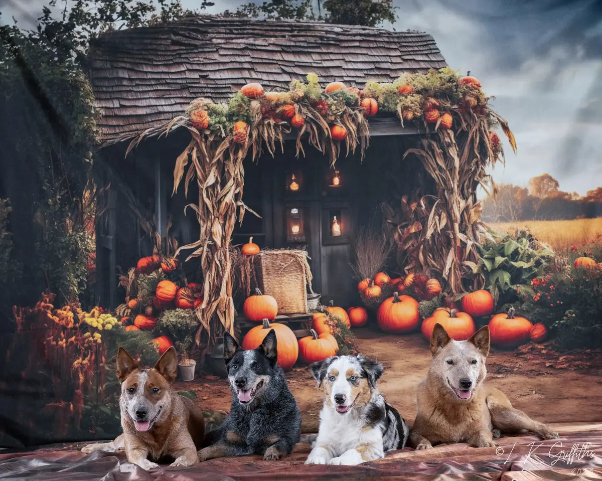 Kate Autumn Old Pumpkin House Backdrop for Photography