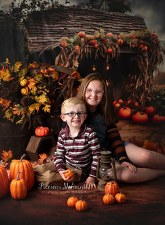 Herfstveld Pompkin Oud Huis Foto Achtergrond + Grondvloer Foto Achtergrond