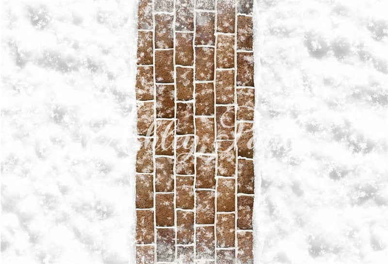 Kate Winter Snow Brown Brick Path Floor Backdrop Designed by Ashley Paul