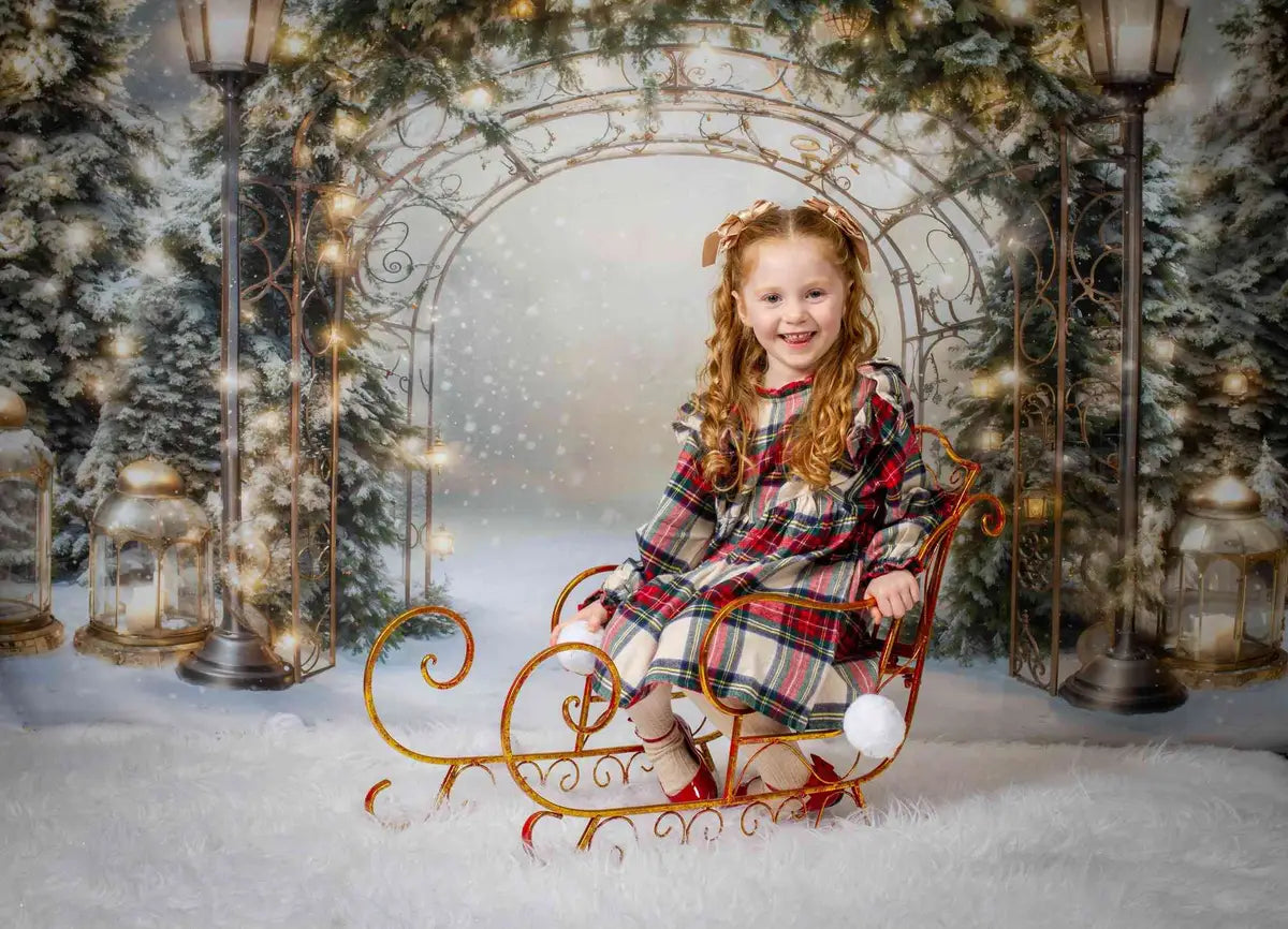 Kate Winter Christmas Branch Arch Backdrop Designed by Emetselch