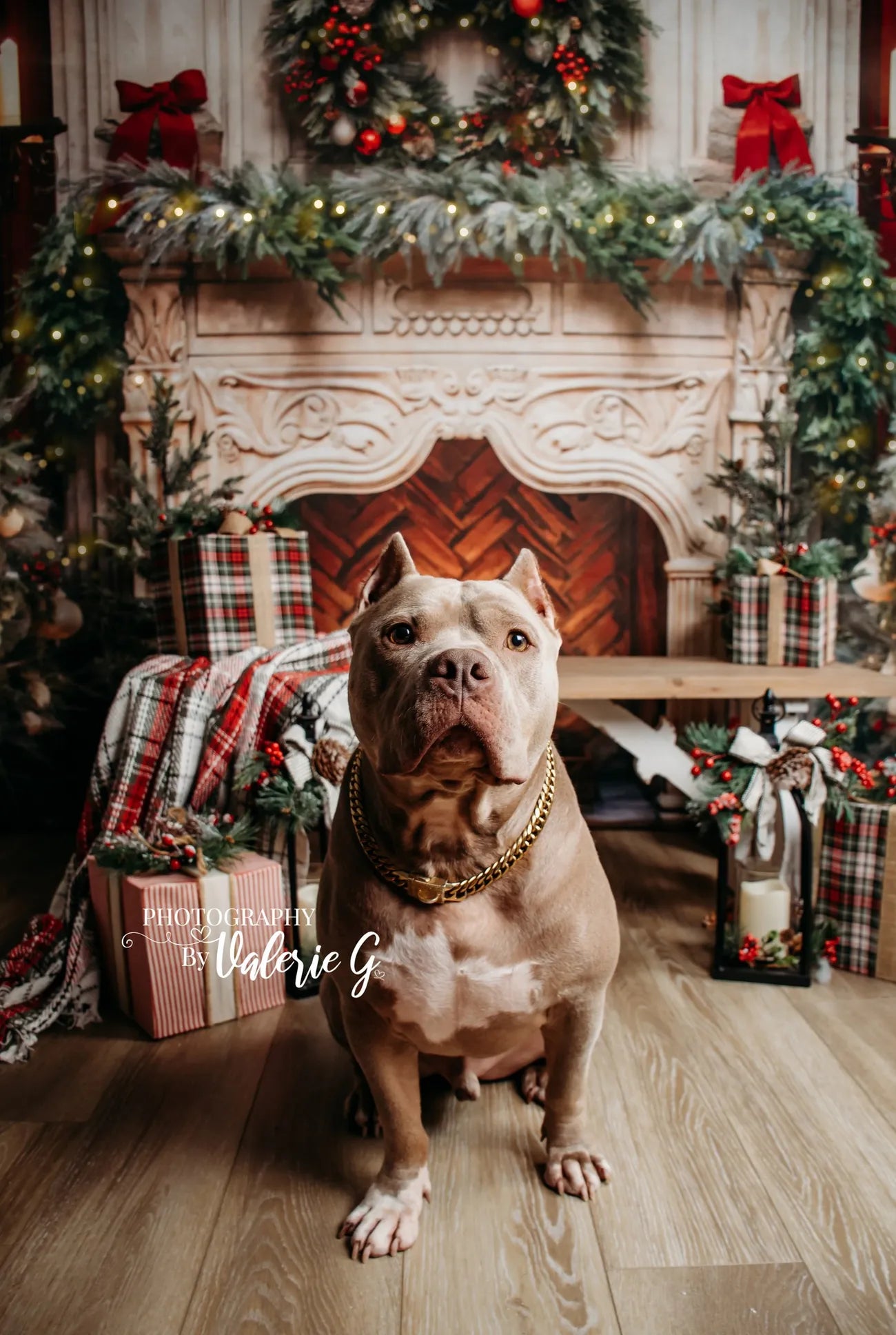 Kate Christmas Tree Fireplace Red Backdrop Designed by Emetselch