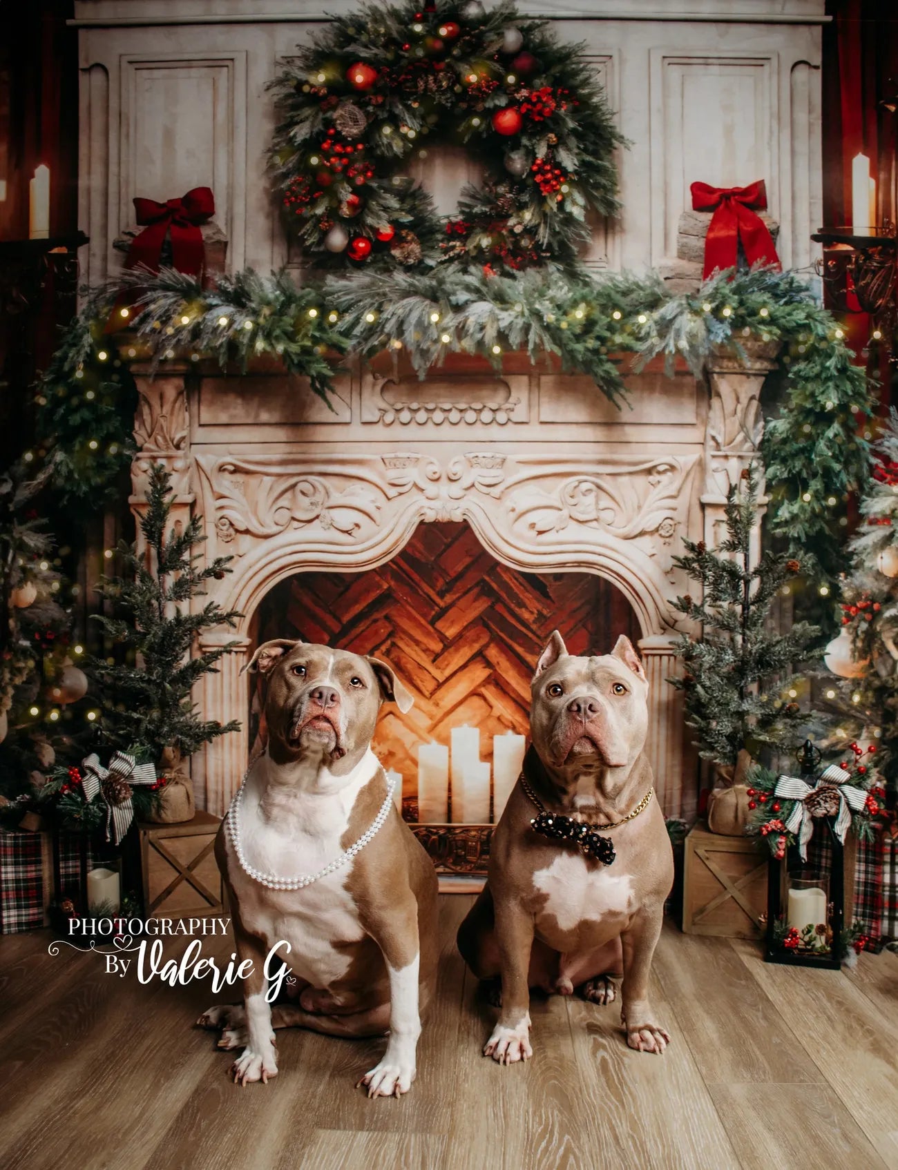 Kate Christmas Tree Fireplace Red Backdrop Designed by Emetselch