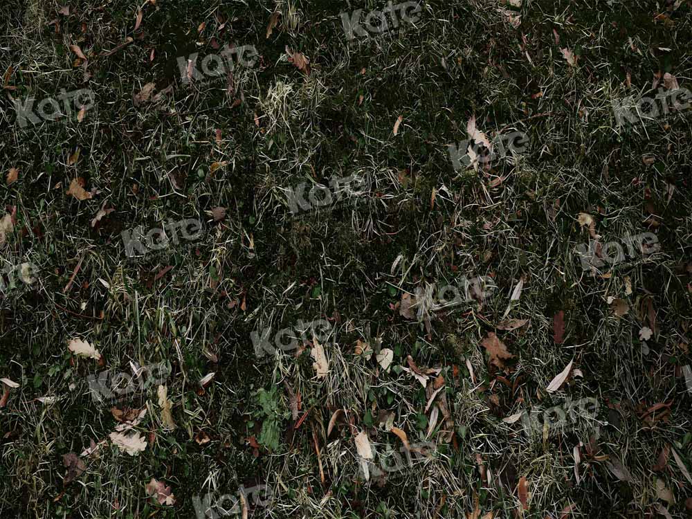 Graslandweide-achtergrond voor fotografie